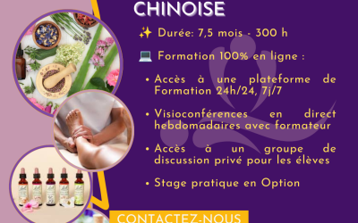 Formation Praticien en Naturopathie, Réflexologie et Energétique Chinoise – du 31 Août 2026 au 24 Avril 2027