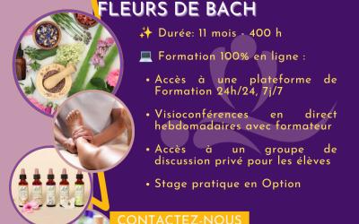 Formation Praticien en Naturopathie, Réflexologie, Homéopathie et Fleurs de BACH – du 31 Août 2026 au 27 Juillet 2027