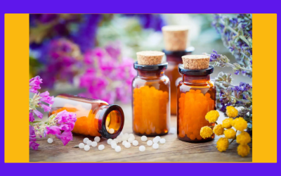 Formation Conseiller en Homéopathie – du 26 Octobre au 12 Décembre 2026
